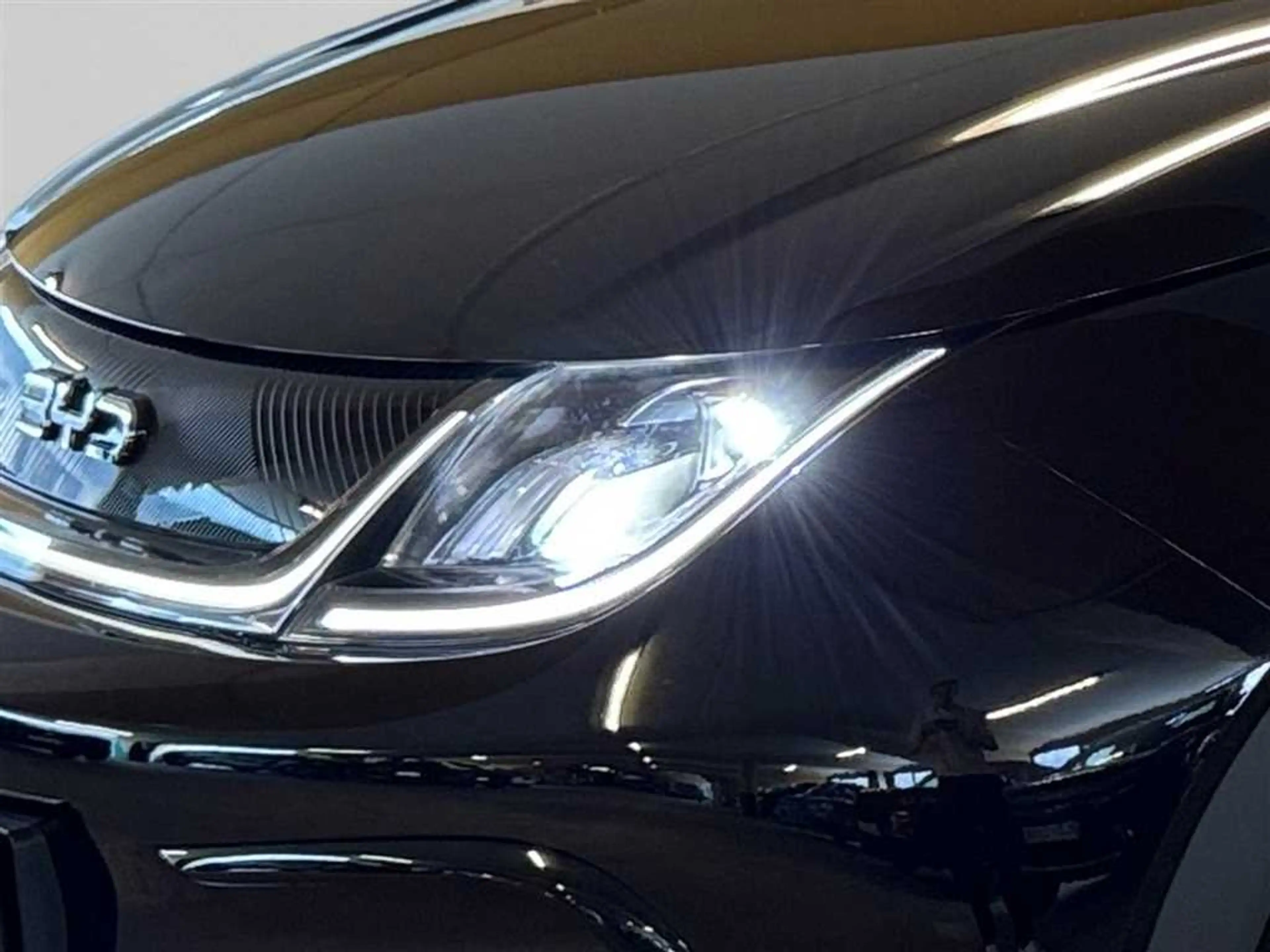 BYD Dolphin DESIGN 360°Kamera Leder Sitzkühlung Panoramadach — photo 7