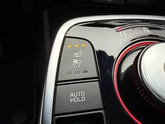 Kia e-Niro view 28