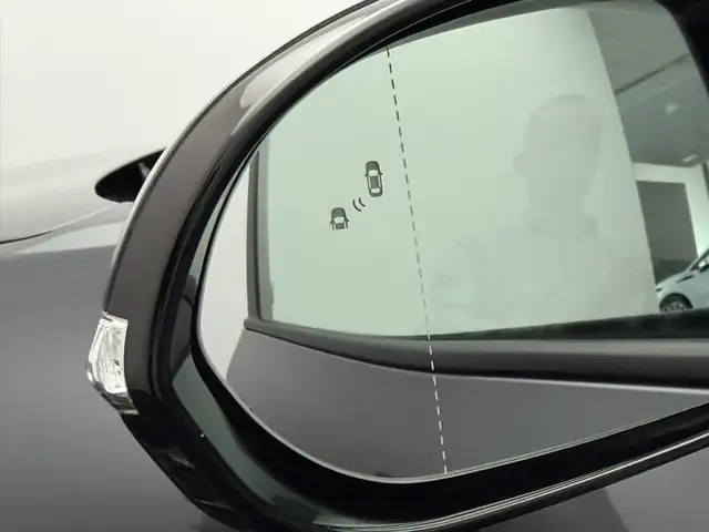 Kia e-Niro view 4