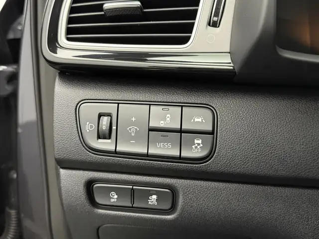 Kia e-Niro view 24