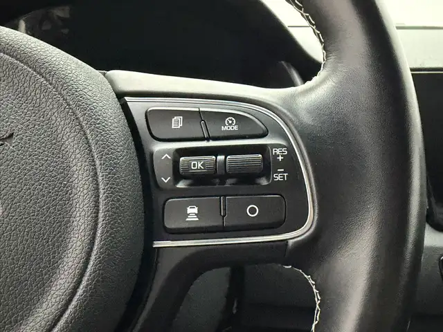 Kia e-Niro view 26