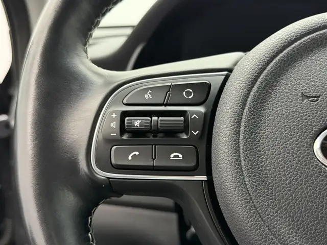 Kia e-Niro view 25