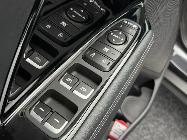 Kia e-Niro view 23