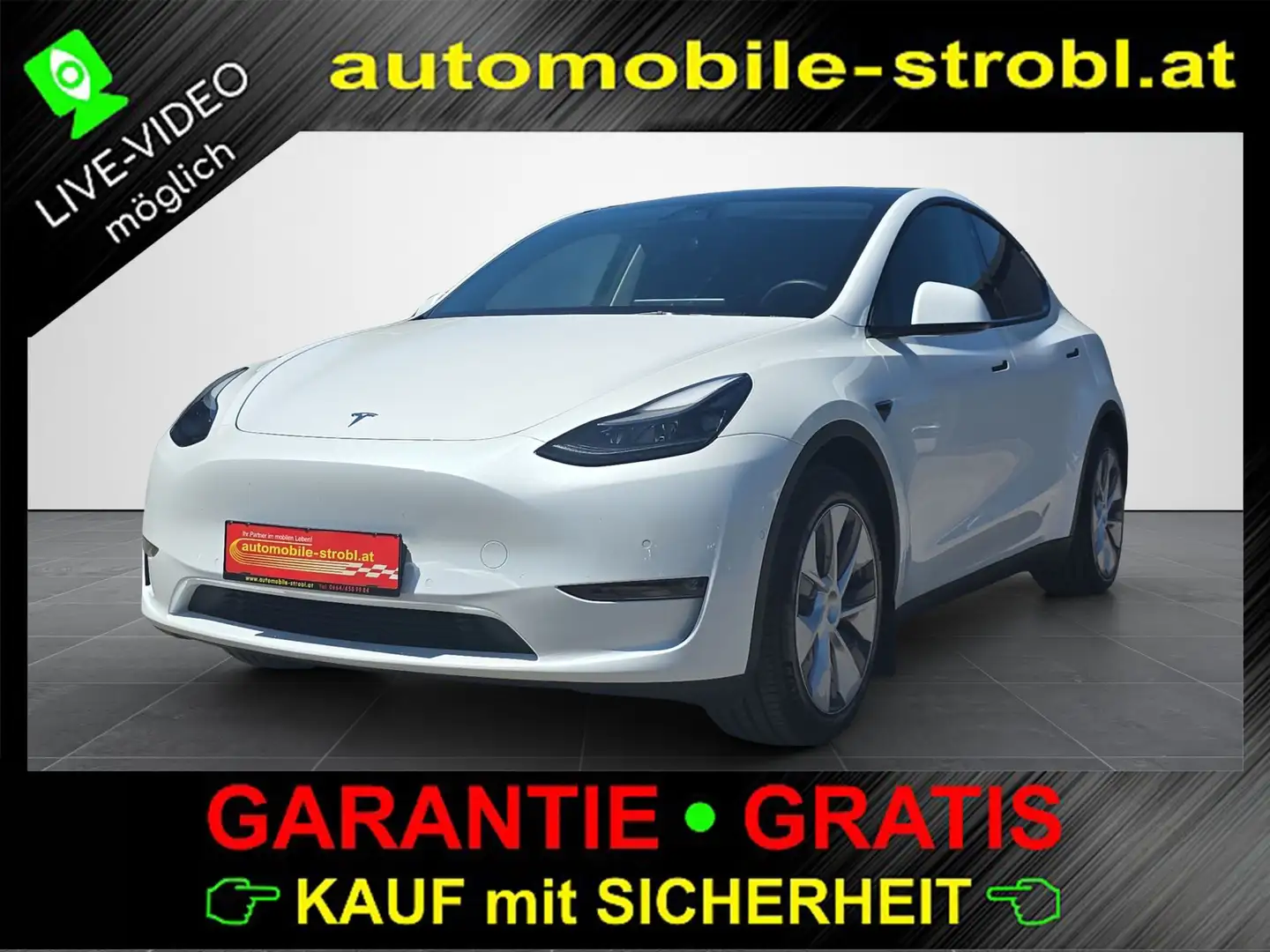 Tesla Model Y Max. Reichw. AWD Auto.P GARANTIE White - 1