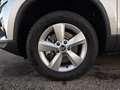 Skoda Karoq Selection TDI DSG Zilver - thumbnail 4
