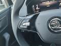 Skoda Karoq Selection TDI DSG Zilver - thumbnail 12