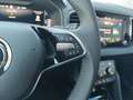 Skoda Karoq Selection TDI DSG Zilver - thumbnail 14
