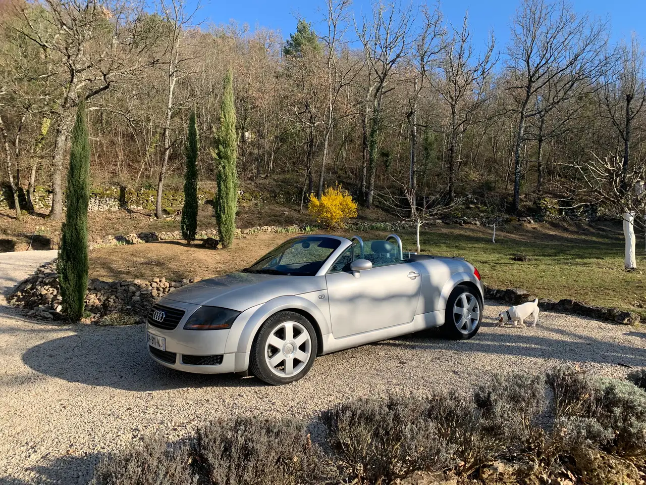 Audi TT 1.8T, foto 1