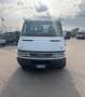 Iveco daily 35c10 cassone da 4 metri Blanco - thumbnail 1