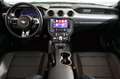 Ford Mustang 5.0 V8 GT Ti-VCT 450cv AUT Verde - thumbnail 9