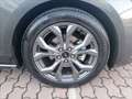 Ford Focus 1.5 ecoblue ST-Line 120cv auto Grigio - thumbnail 7