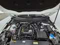 Volkswagen T-Roc 1,0 TSI Style R-Line Grau - thumbnail 21