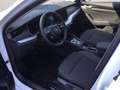 Skoda Octavia Combi 1.5 eTSI DSG Selection Matrix Navi Rear View Weiß - thumbnail 17