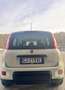 Fiat Panda Panda 1.0 FireFly S&S Hybrid City Life Bianco - thumbnail 3