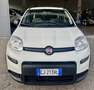 Fiat Panda Panda 1.0 FireFly S&S Hybrid City Life Bianco - thumbnail 2