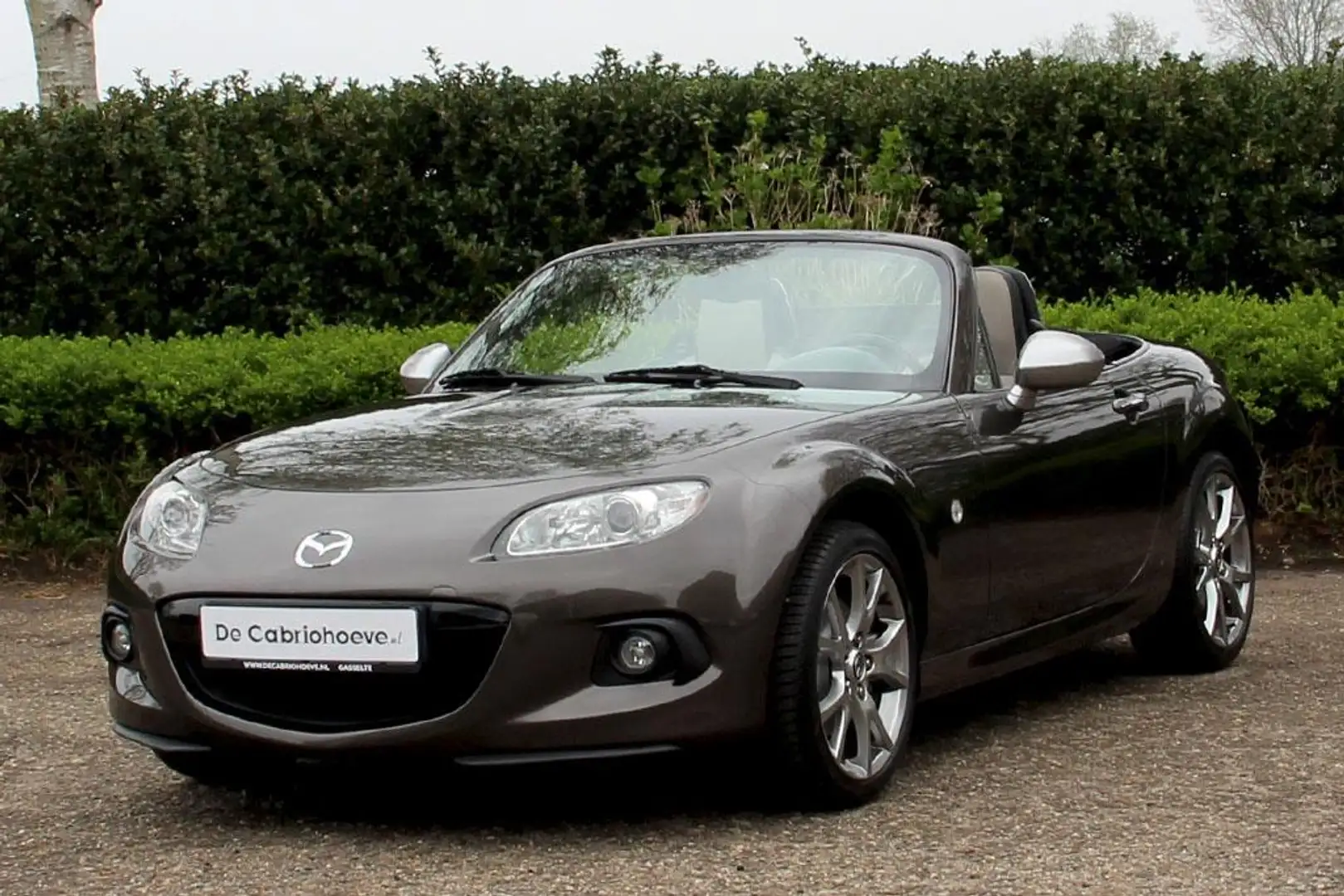 Mazda MX-5 NC 1.8l Titanium Flash Mica - Sendo Braun - 2