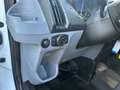 Ford Transit 350 L3 Trend Weiß - thumbnail 6