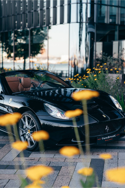 Ferrari California 4.3 V8 — photo 14
