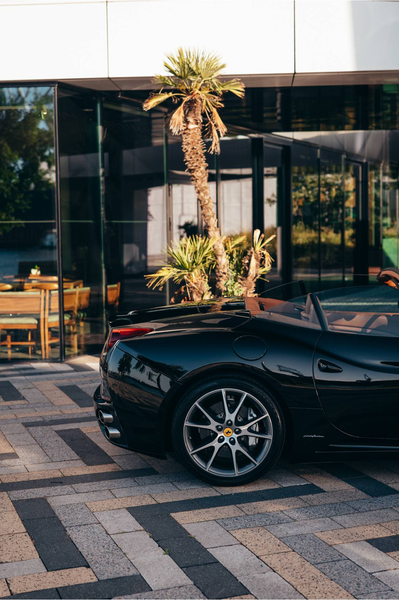 Ferrari California 4.3 V8 — photo 17