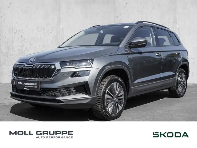 2025 Skoda Karoq in Grey for sale