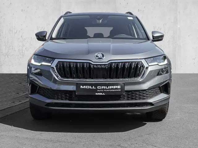 Skoda Karoq view 3