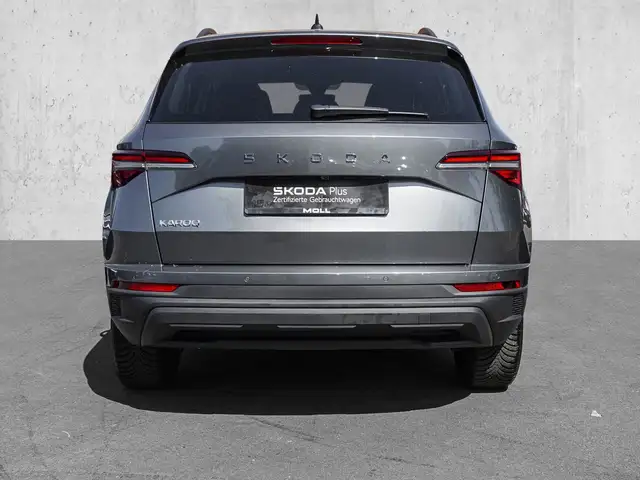 Skoda Karoq view 6
