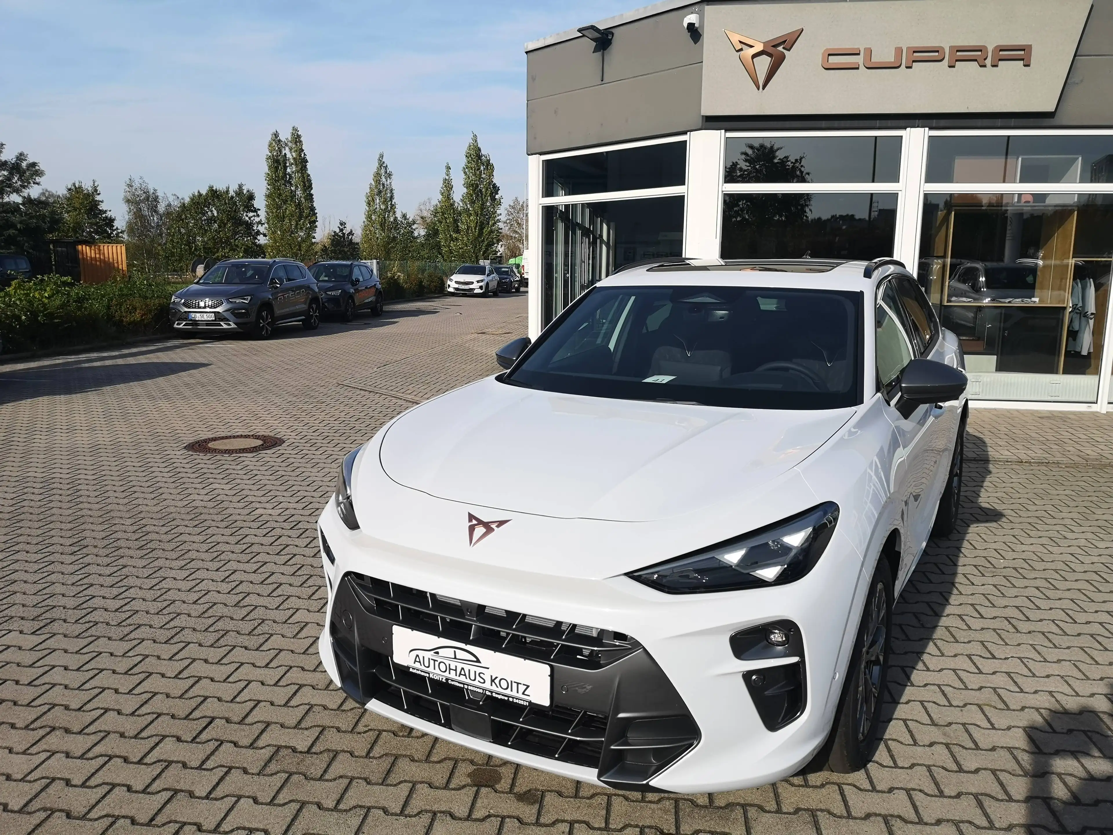 CUPRA Terramar 2.0 TSI 150 kW 4Drive Navi AHK AAC ACC 360° Kamera PDC v+h