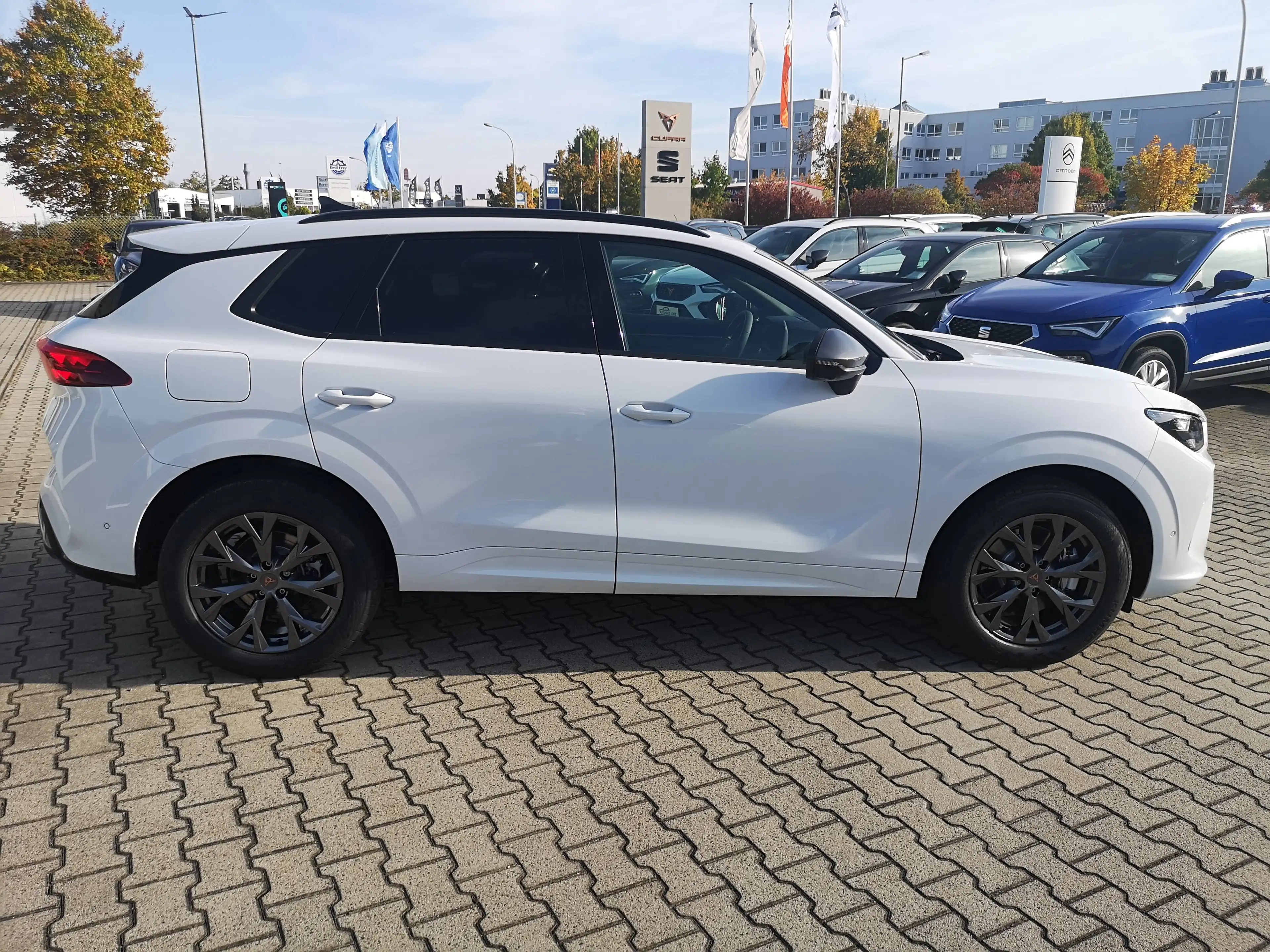 CUPRA Terramar 2.0 TSI 150 kW 4Drive Navi AHK AAC ACC 360° Kamera PDC v+h — photo 7