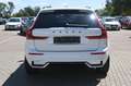 Volvo XC60 B5 AWD Ultra Black Edition*LUFT*360*ACC*AHK Weiß - thumbnail 4