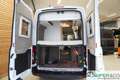 VanTourer 600 D Ford I FORD-AKTION SICHERN Weiß - thumbnail 24