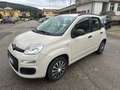 Fiat Panda Panda III 2012 1.2 Easy 69cv E6 Beige - thumbnail 1