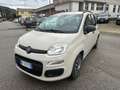Fiat Panda Panda III 2012 1.2 Easy 69cv E6 Beige - thumbnail 7