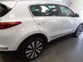 Kia Sportage Sportage 1.7 crdi GT Line 2wd 115cv my18 Bianco - thumbnail 9