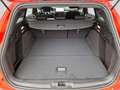Ford Focus Turnier ST-LINE 1.0 EcoBoost *Kamera/PDC* Rot - thumbnail 13