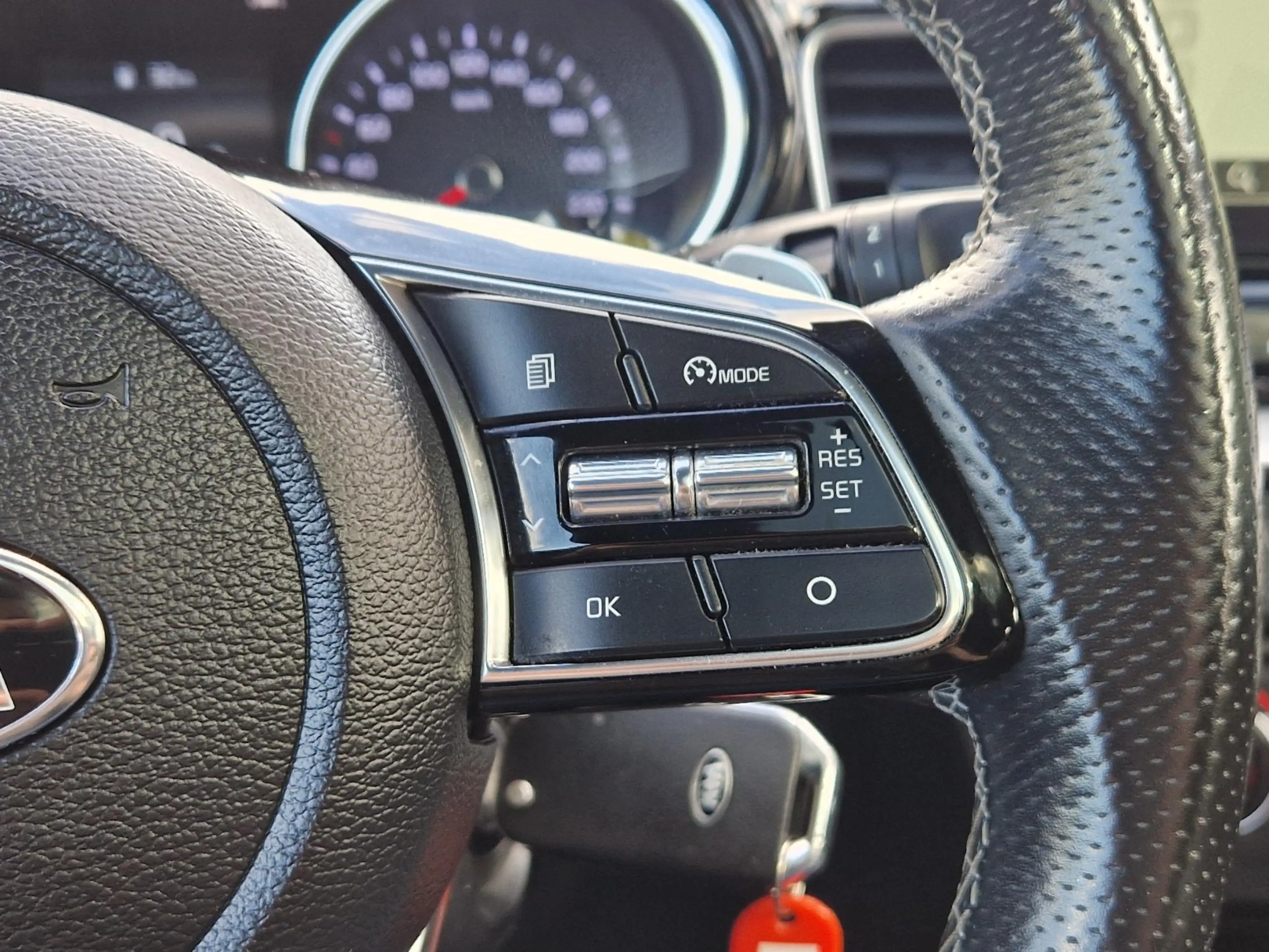 Kia ProCeed / pro_cee'd 1.5 T-GDi MHEV GT-Line Edition PANO TREKHAAK — photo 13