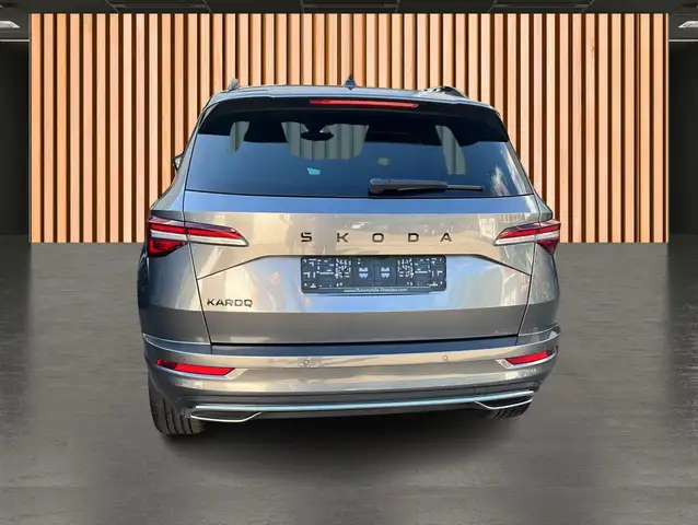 Skoda Karoq view 6