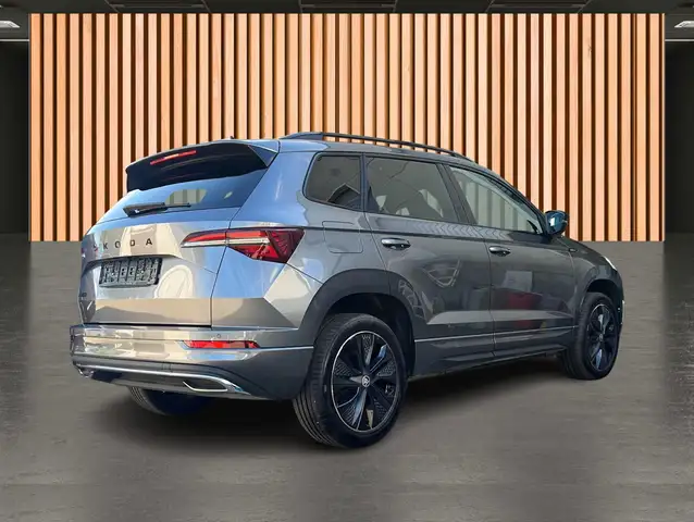 Skoda Karoq view 7