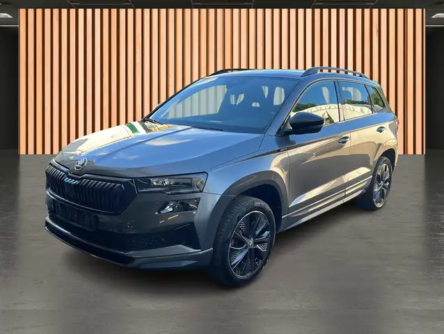 Skoda Karoq view 2