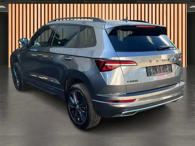 Skoda Karoq view 5