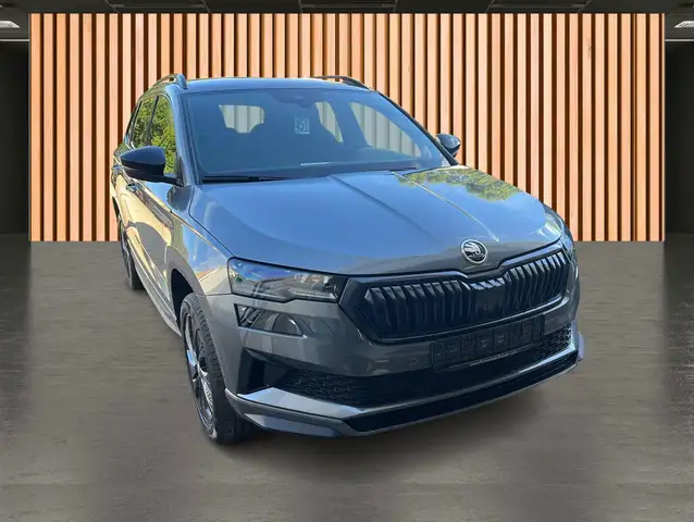 Skoda Karoq view 3