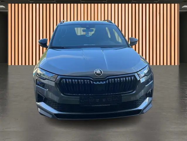 Skoda Karoq view 4