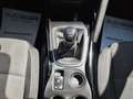 Renault Kadjar Blue dCi 8V 115CV Sport Edition - thumbnail 18