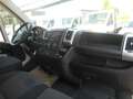 Fiat Ducato Ducato 30 L2H2 120 Multijet Kasten Netto € 20.666- Weiß - thumbnail 10