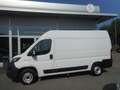 Fiat Ducato Ducato 30 L2H2 120 Multijet Kasten Netto € 20.666- Weiß - thumbnail 8