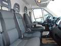 Fiat Ducato Ducato 30 L2H2 120 Multijet Kasten Netto € 20.666- Weiß - thumbnail 2