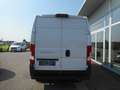 Fiat Ducato Ducato 30 L2H2 120 Multijet Kasten Netto € 20.666- Weiß - thumbnail 6
