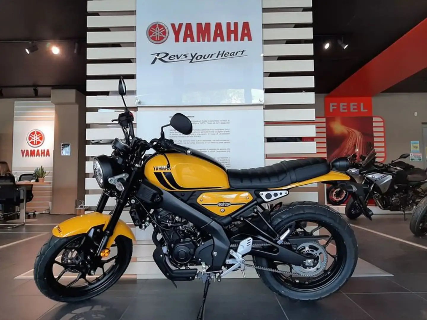Yamaha XSR 125 - 1