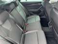 Skoda Octavia 2.0 TDI Selection Navi+LED+AHK+ACC+Kam Schwarz - thumbnail 13