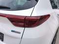 Kia Sportage 2.0CRDI AWD Eco+ (48V M-H) Aut PLATINUM Blanc - thumbnail 11