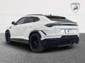 Lamborghini Urus S Bianco - thumbnail 3